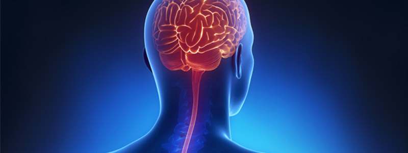 Ayurvedic treatment for migraine in kerala